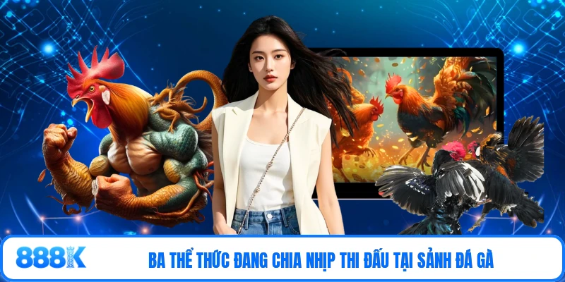Ba thể thức đang chia nhịp thi đấu tại sảnh đá gà
