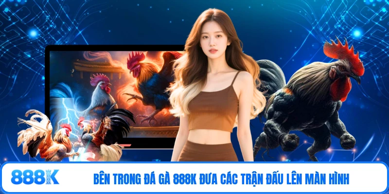 Bên trong đá gà 888K đưa các trận đấu lên màn hình