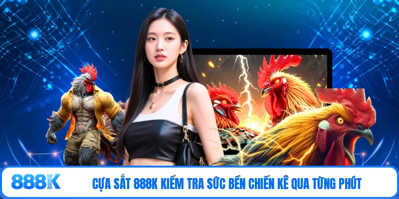 Cựa sắt 888K kiểm tra sức bền chiến kê qua từng phút