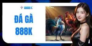 Đá Gà 888K - Cập Nhật Trận Live 24/7 Đẩy Nhịp Cược Lên Cao