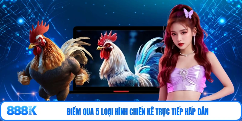 Điểm qua 5 loại hình chiến kê trực tiếp hấp dẫn