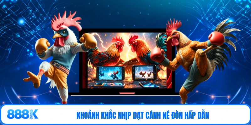 Khoảnh khắc nhịp dạt cánh né đòn hấp dẫn