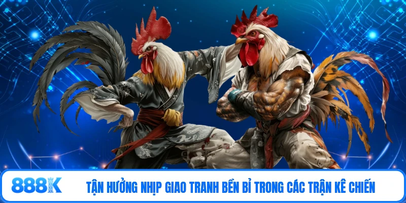 Tận hưởng nhịp giao tranh bền bỉ trong các trận kê chiến